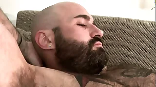 2395 hairy porn videos